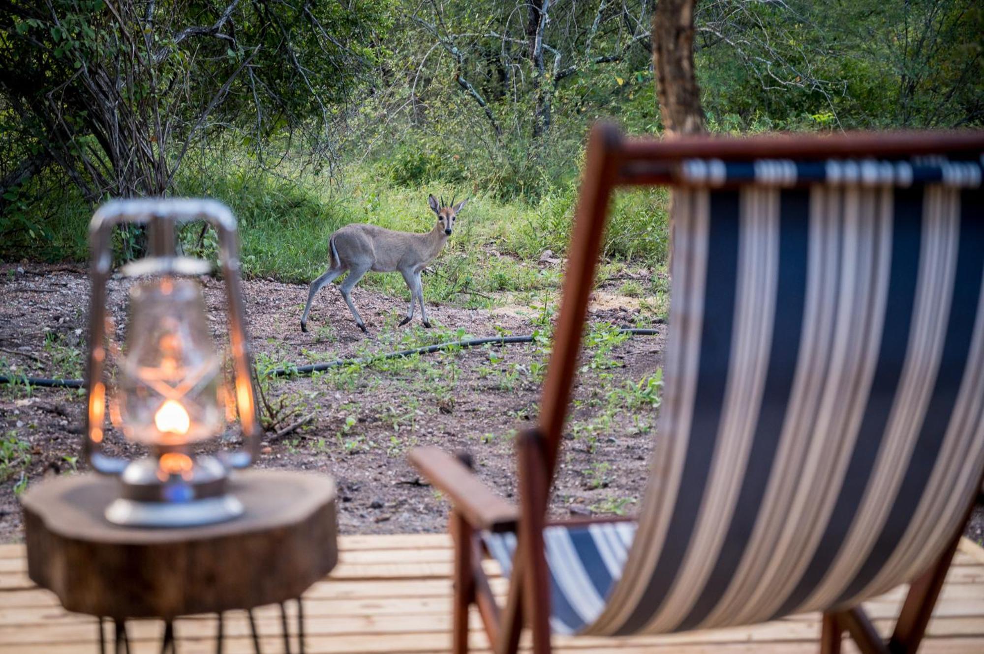 Bosveld Villa Marloth Park Dış mekan fotoğraf
